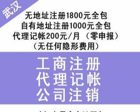 漢口專業財稅服務 財務代理、內賬外賬管理、一般納稅人申請、清理舊賬與代辦貸款申報一站式解決方案